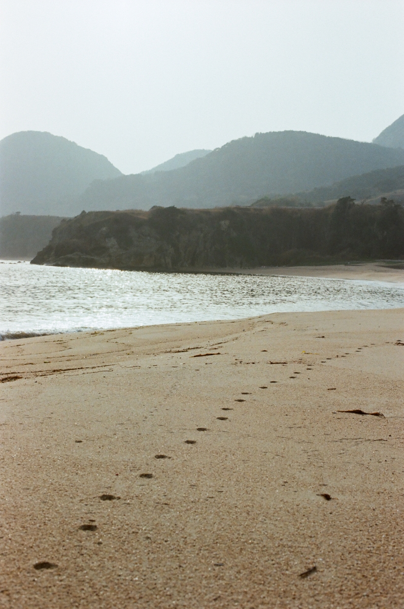 写真4
