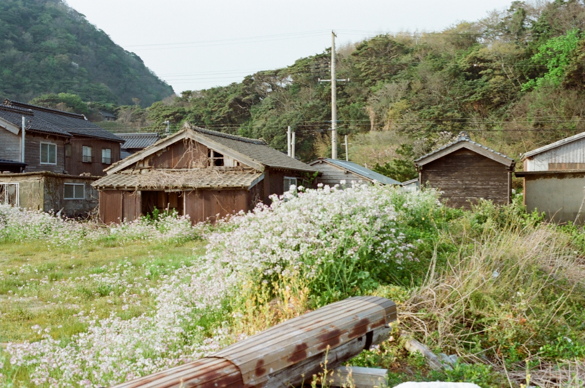 写真7